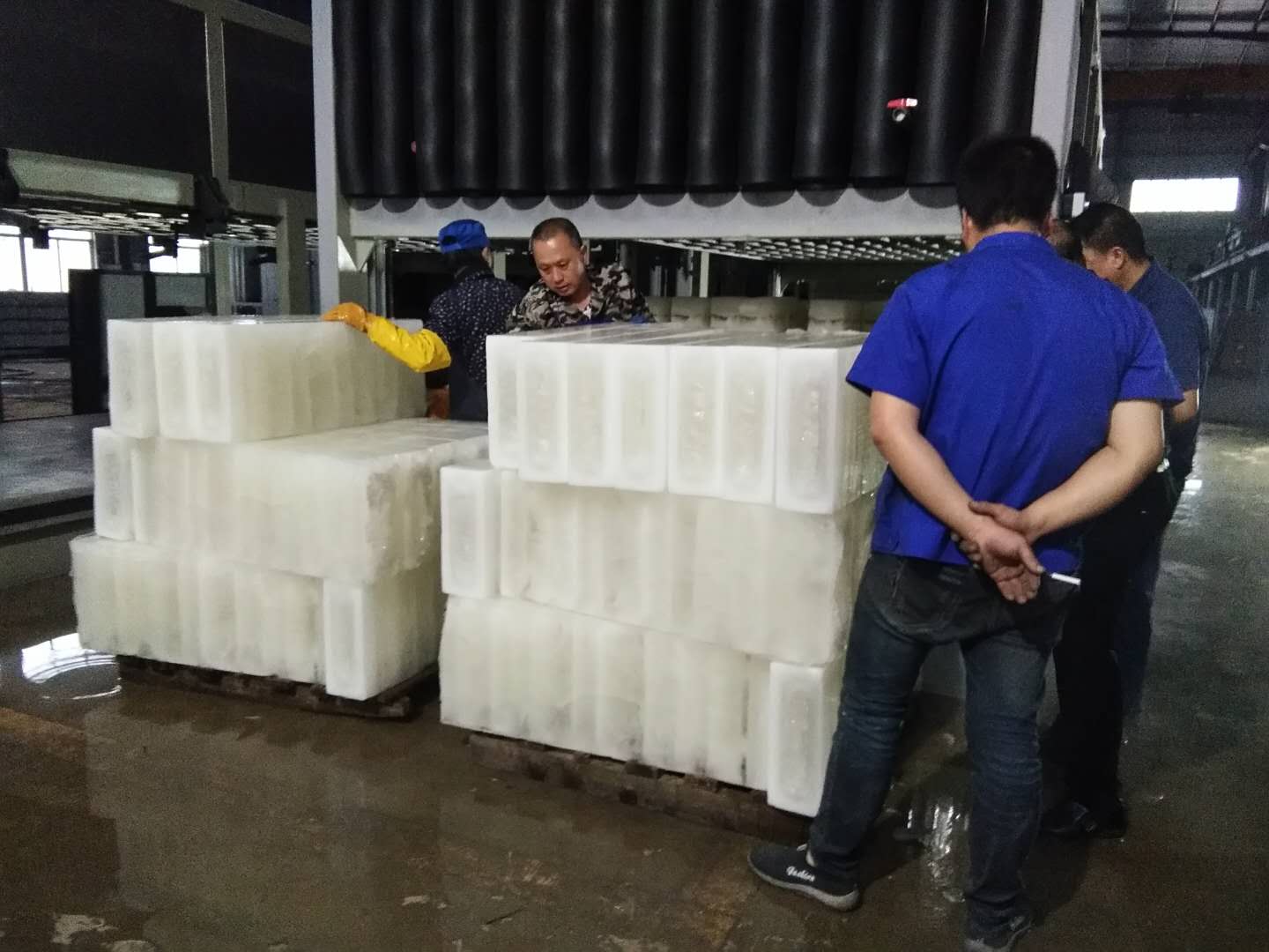 581195026524747057.jpg